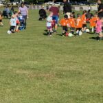 93D5F71F-FAA0-49C0-BD22-B40419EA2B0C_1_105_c