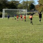 AFBB50EA-9CA4-4054-ABC6-433DE2B851F3_1_105_c